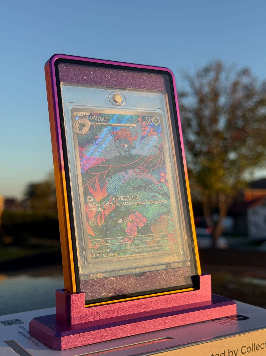 How to Protect Your PSA-Graded Cards: A Collector's Guide