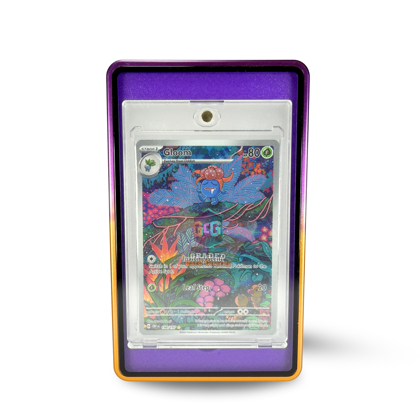 Alpha Series Guard (Purple & Gold)